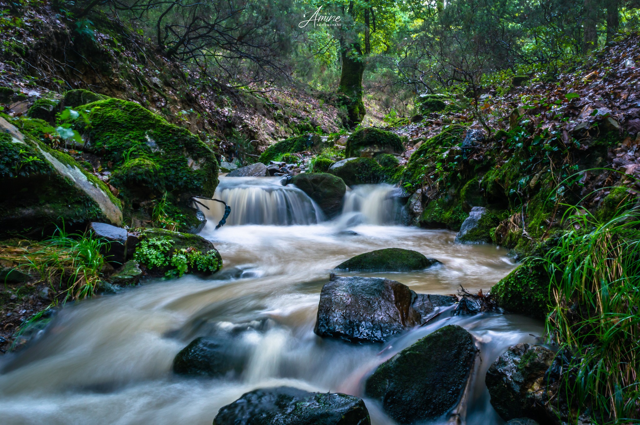 "Bni Mtir" La beauté pure de la nature