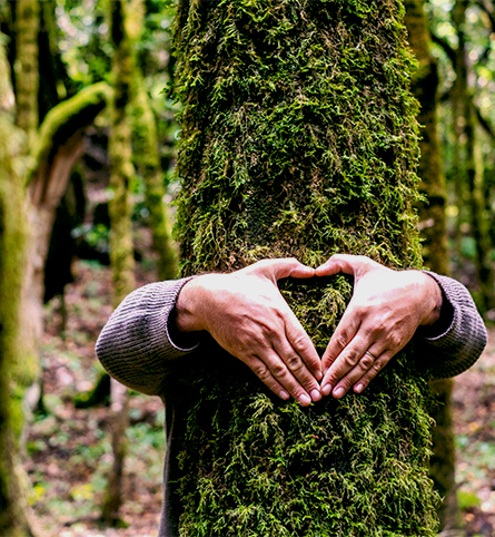 Nous aimerions recevoir vos nouvelles